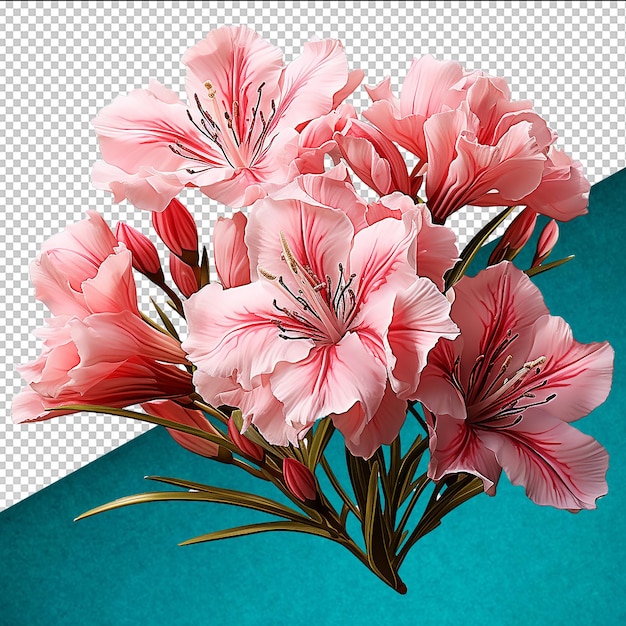 Set de flores PSD em fundo transparente