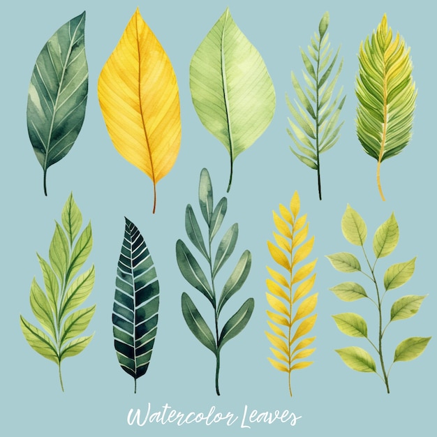set de folhas de variação de ilustração de aquarela psd livre