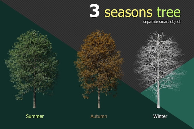 Set di 3 stagioni di sfondo trasparente dell'albero di ontano