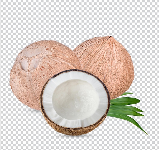 Set di cocco crudo fresco con foglie di palma isolate su sfondo bianco immagine ad alta risoluzione PsdxD premium