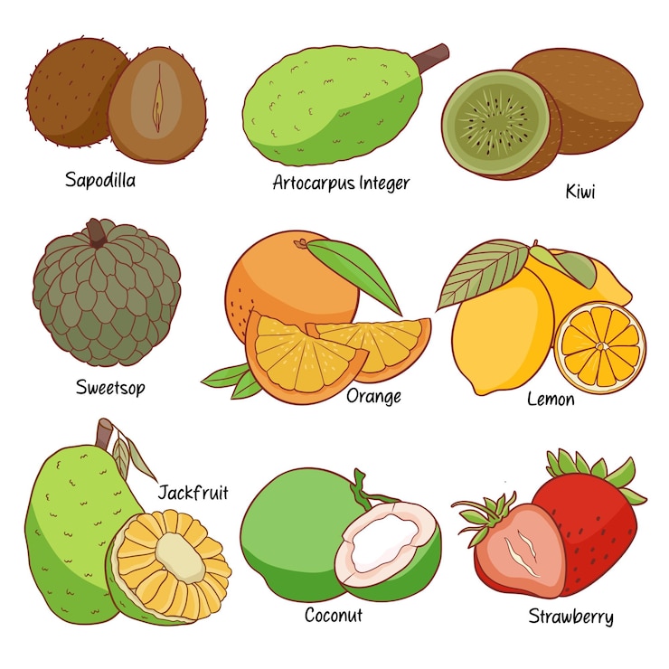 PSD set di collezione di frutta disegnato a mano