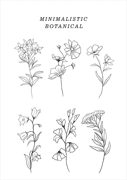 Set di disegni botanici minimalisti senza soluzione di continuità isolati su sfondo bianco