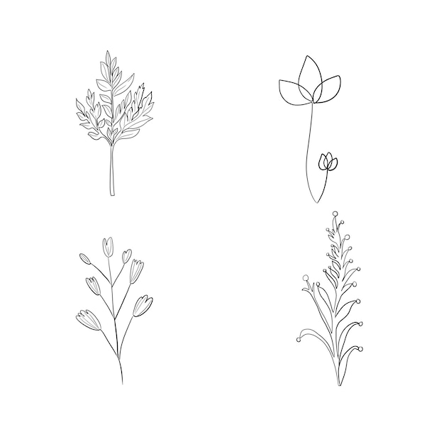 Set di elementi decorativi floreali disegnati a mano