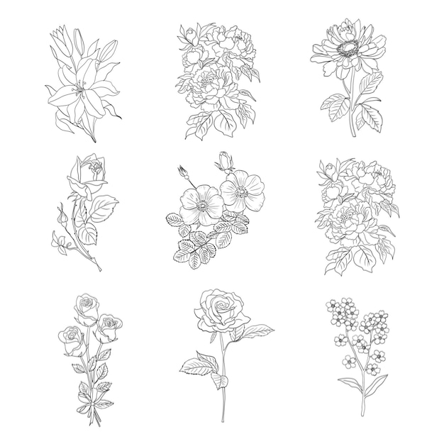 Set di elementi decorativi floreali disegnati a mano