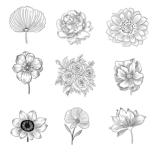 Set di elementi decorativi floreali disegnati a mano