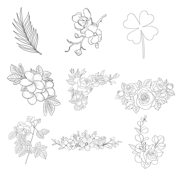 PSD set d'éléments décoratifs floraux dessinés à la main