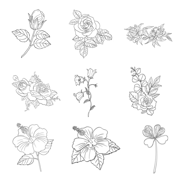 Set d'éléments décoratifs floraux dessinés à la main