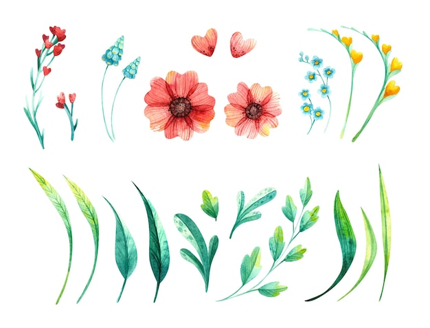Set de fleurs à l'aquarelle