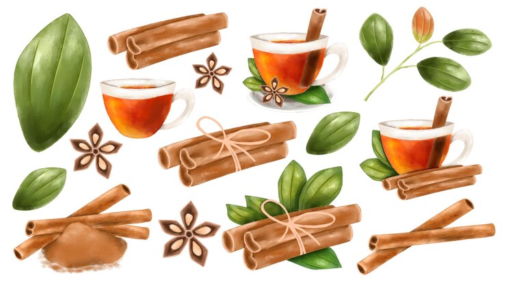PSD set d'illustrations à l'aquarelle de bâton de cannelle, de feuilles vertes de cannelle et de thé à la cannelle isolé