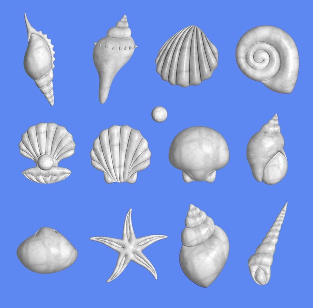 set of different 3d sea shells shells mollusks clam with pearl snail summer concept