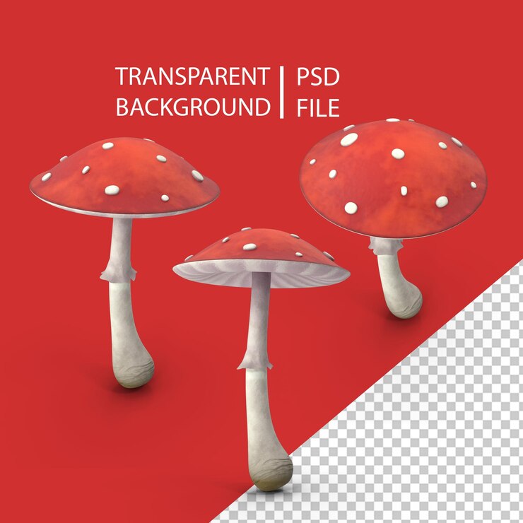PSD seta de dibujos animados png