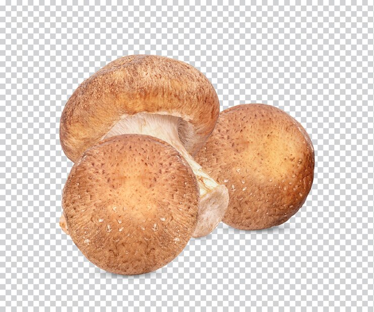 PSD seta shiitake fresca aislada premium psd