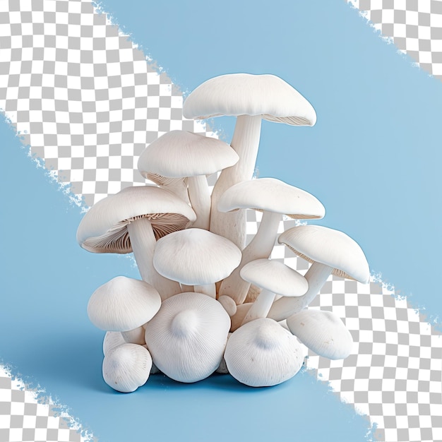 Setas blancas sobre un fondo transparente setas champignon setas de colores en contraste