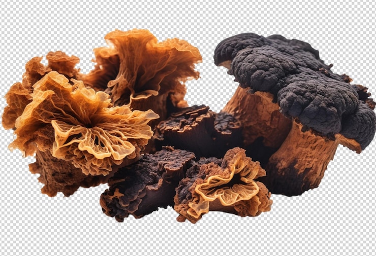 PSD setas saludables de chaga