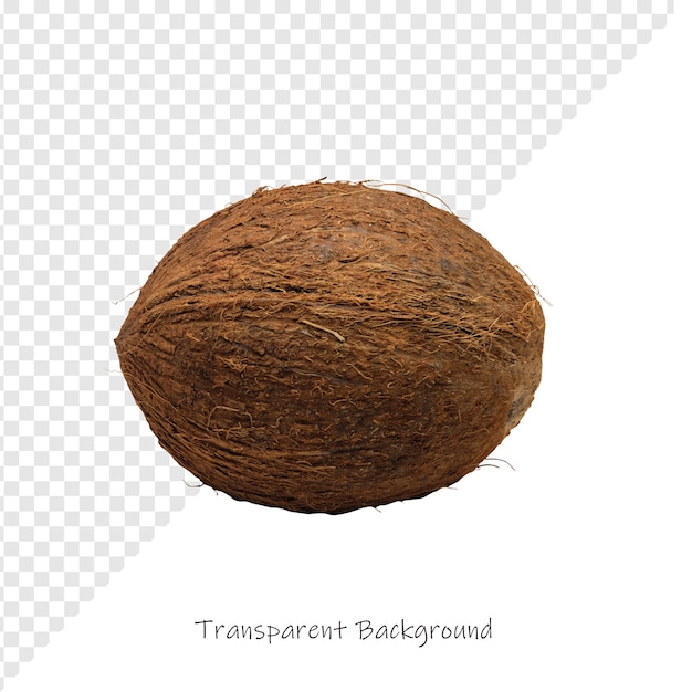 Une seule noix de coco marron isolée sur un arrière-plan transparent