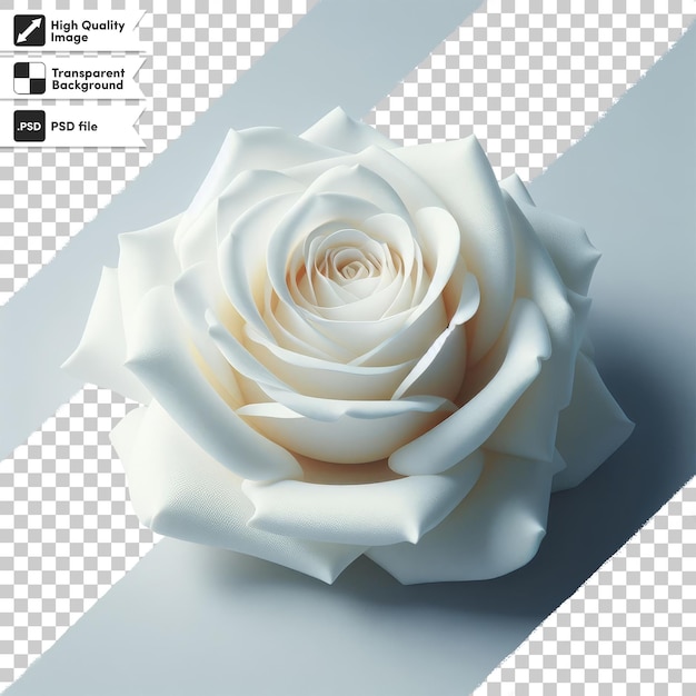 PSD une seule rose blanche psd sur fond transparent