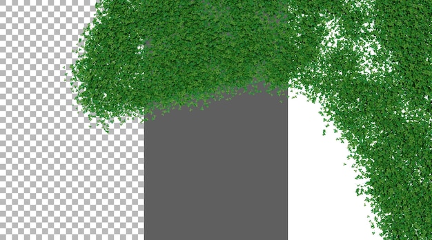Sfondi di trifoglio su sfondo trasparente png rendering 3D