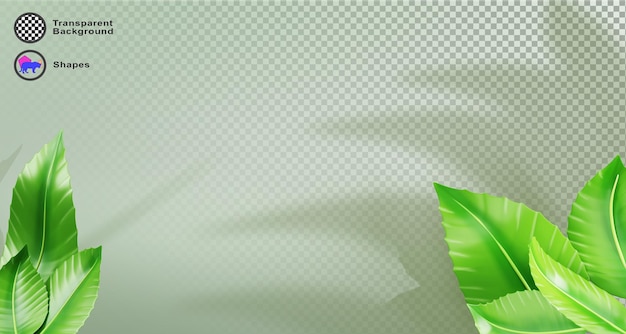 Sfondio 3D verde con foglia d'albero e ombra Naturale banner luminoso estivo con foglie di tè e spazio vuoto Frame di piante di fogliame fresco per l'esposizione di prodotti cosmetici di bellezza biologica