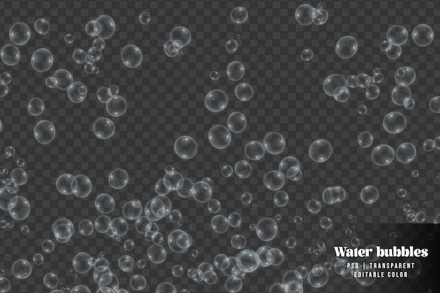 Si alza bolle d'acqua isolate su sfondo trasparente