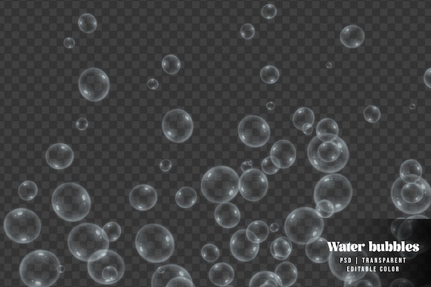 Si alza bolle d'acqua isolate su sfondo trasparente