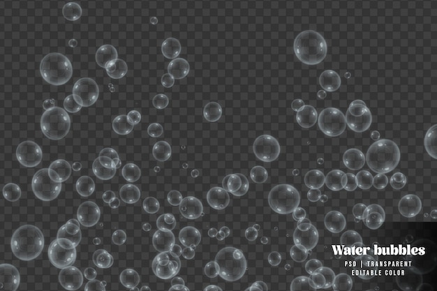 Si alza bolle d'acqua isolate su sfondo trasparente
