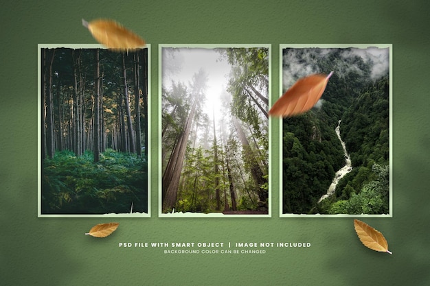 Sich für die Pracht des Dschungel-Foto-Mockup-Designs einsetzen