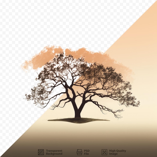 PSD silhouette d'arbre sur fond transparent avec chemin de découpage