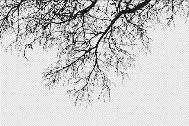 Silhouette de branches d'arbres nues sur un fond transparent