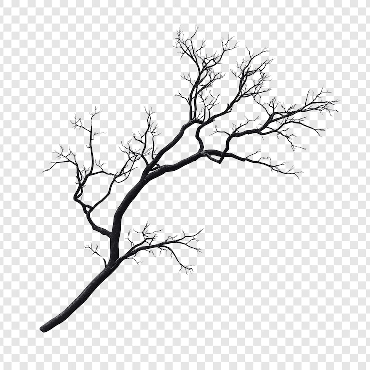 PSD silhouette di un ramo di albero morto