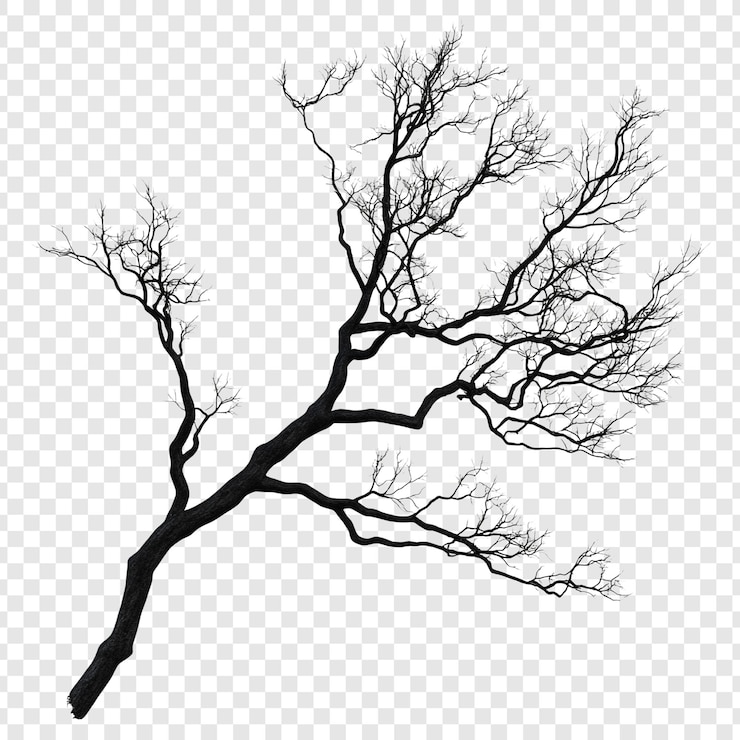 PSD silhouette di un ramo di albero nudo