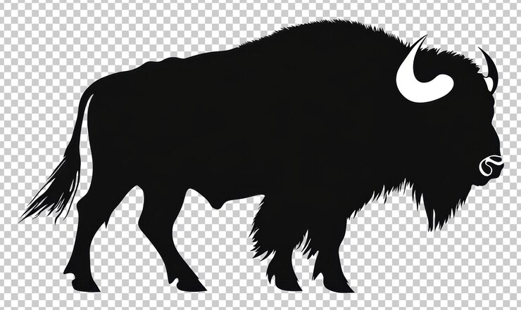 PSD silhouette noire d'un bison debout sur une plaine isolée sur un fond transparent