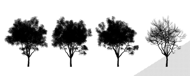 Silhouettes d'arbres d'orme de taille moyenne réalistes isolées