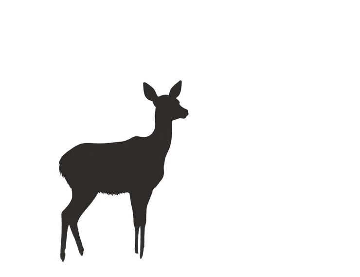 PSD silhueta de um cervo à noite