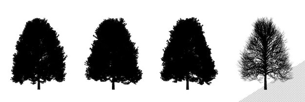 Silhuetas de árvores de tília de tamanho grande realistas isoladas