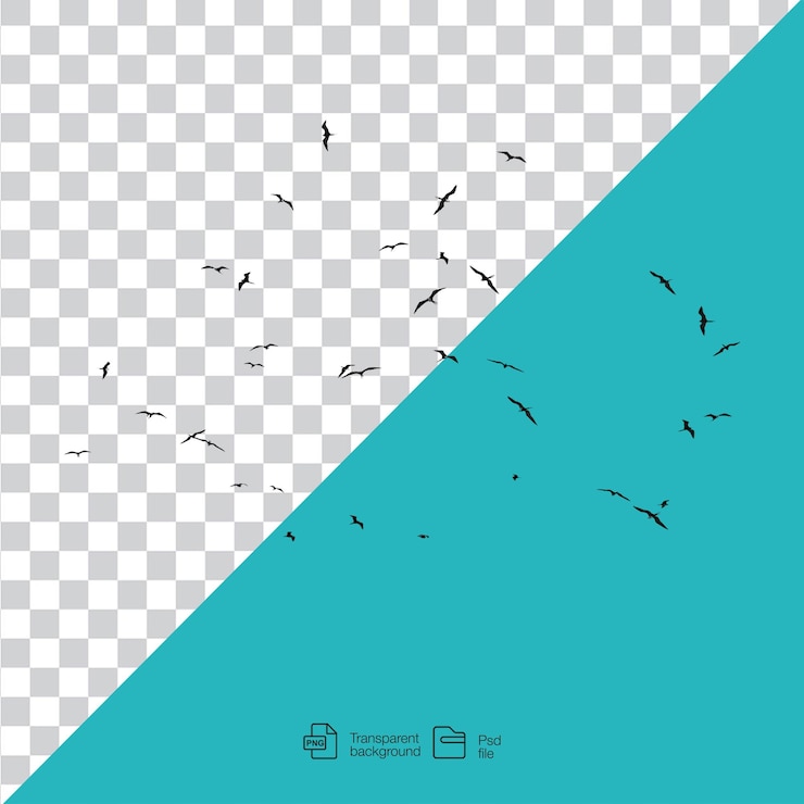 PSD silueta de una bandada de aves en vuelo sobre un fondo transparente