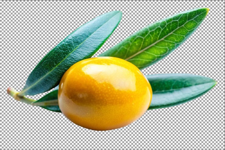 PSD símbolo de la rama de olivo diseño artístico de la línea del icono