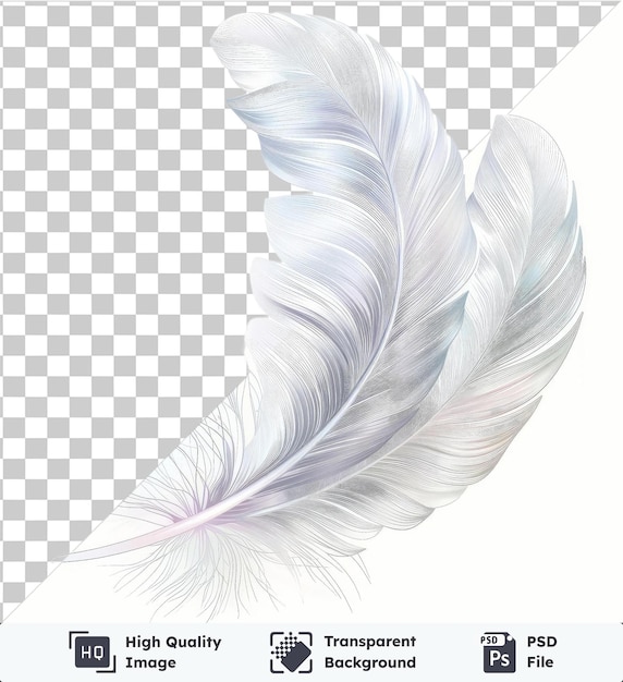 Símbolo de textura de plumas de vector psd transparente de alta calidad gris suave en un fondo aislado