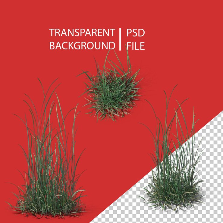PSD simple grass png