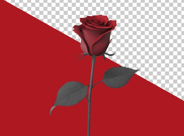 Una simple rosa roja