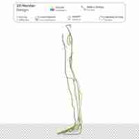 PSD sistema nervoso da perna humana modelagem 3d arquivo psd anatomia humana realista