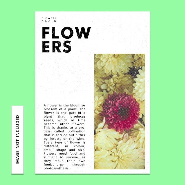 Site Web de fleurs, modèle de mise en page, typographe, livre, magazine, affiche, flayeur, post sur les médias sociaux, site Web