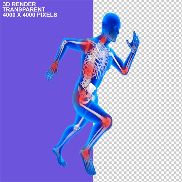 Skelton Muscles Bones Maux de dos Maux d'articulations Maux de genou Thérapie de remplacement osseux Exercice.