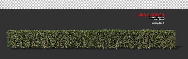 Small garden with many shrubs