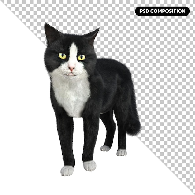 Smokingkatze isoliert 3D