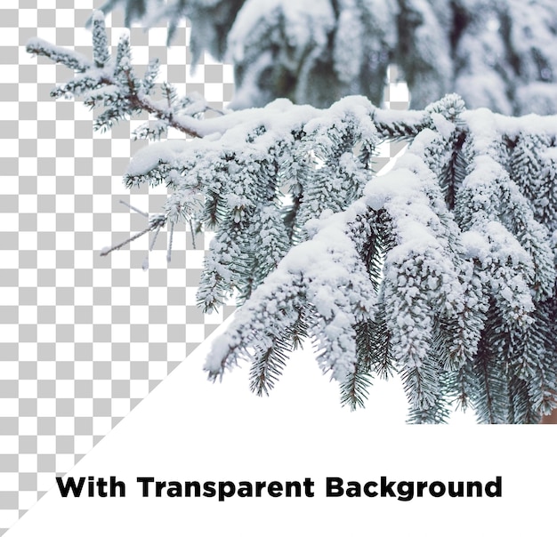 Snow Flakes Clipart PNG PSG Isolado em fundo transparente