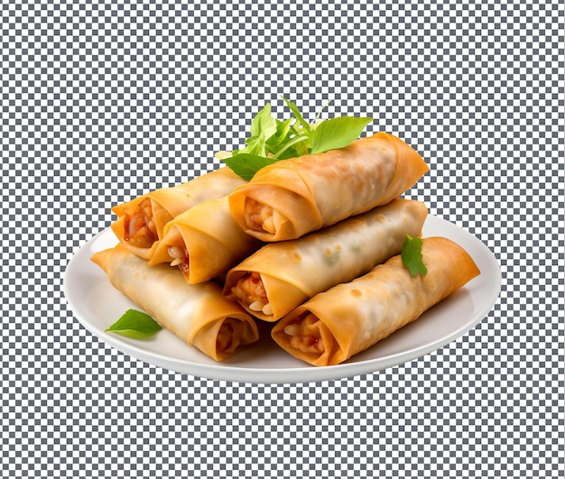 So leckere vegetarische Frühlingsrollen, isoliert auf durchsichtigem Hintergrund