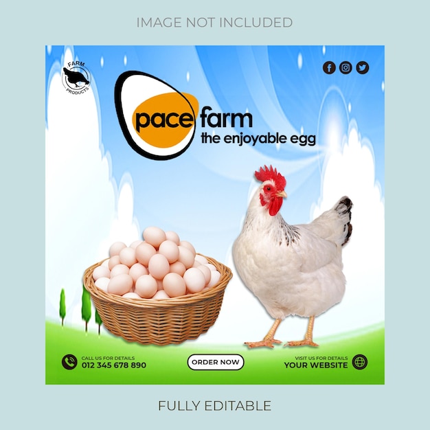 social media ads design