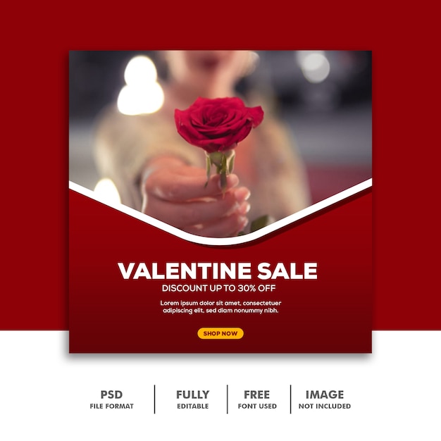 Social media beitrag valentine banner instagram, blume rose rot