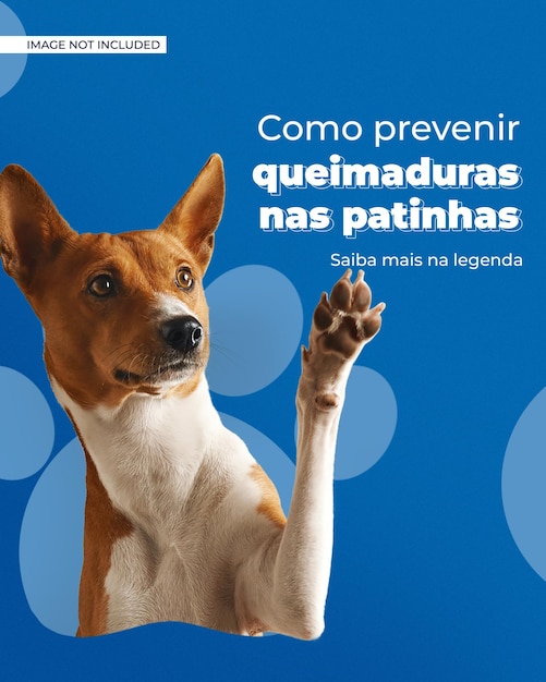 Social media petshop