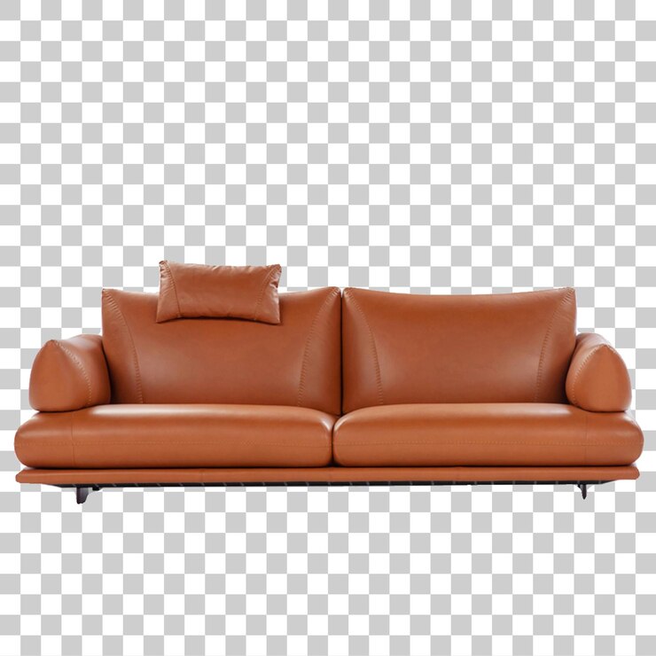 PSD sofa de cuero marrón
